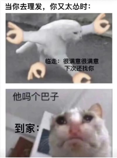 这是一张双 panel 对比梗图，生动展现了「理发时太怂」的社畜日常。上半部分是一只被 P 上人类手臂的白猫，张开双手做出夸张告别姿势，配文「临走：很满意很满意 下次还找你」，模仿顾客强忍不适假装满意的样子；下半部分是怼脸拍的猫咪特写，眼神震惊又委屈，配文「到家：他吗个巴子」，暴露回家后真实的崩溃情绪。通过猫咪拟人化的反差萌，精准戳中当代人面对服务行业时「不好意思提意见」的社交焦虑痛点。