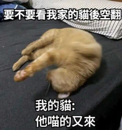 这是一张文字加注的静态宠物梗图，画面主体是一只橘色猫咪，被摆弄成类似后空翻的姿势趴在深色床面上，四肢扭曲，头部被压在身体下方，姿势透露出明显的不情愿。图片上方配有模拟主人语气的文字“要不要看我家的猫后空翻”，下方配有模拟猫咪内心吐槽的文字“他喵的又来”，其中“他喵的”是“他妈的”的谐音，用猫咪的语气表达对被反复要求表演的厌烦情绪，通过主人的提议和猫咪的吐槽形成反差，营造出搞笑的效果，适合用来调侃被反复要求做同一件事的无奈心情。