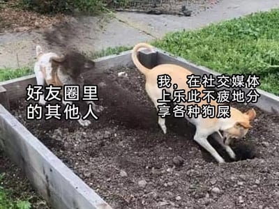 这是一张中文网络趣味讽刺梗图，场景为户外一处围起的泥土花池，图中有两只狗，分别被添加拟人化配文对应不同身份：右侧浅黄带白的狗被标注为“我，在社交媒体上乐此不疲地分享各种狗屎”，这只狗正低头在泥土中刨坑，尾巴翘起；左侧的狗被标注为“好友圈里的其他人”，正背对镜头快速离开该区域。该图用狗狗刨玩粪便的场景做比喻，“狗屎”双关指代网络上无营养、无意义的低质量内容，讽刺了部分社交媒体用户热衷于分享各类低质量内容，而好友圈其他人对此避之不及的现状，风格搞笑讽刺。
