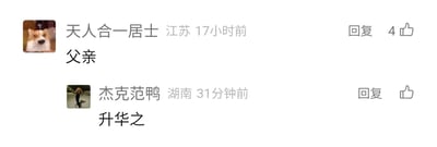 这是一张中文社交媒体评论区的横屏截图，展示了两条独立的用户评论。第一条评论来自用户「天人合一居士」，定位标注为江苏，发布于17小时前，内容仅为「父亲」二字，该评论获得了4个点赞，用户头像是一只头顶带有问号、表情疑惑的狗狗图片；第二条评论来自用户「杰克范鸭」，定位标注为湖南，发布于31分钟前，内容为「升华之」，点赞数显示为空，用户头像是一张人物站立在水中的图片。截图未包含主帖内容，无法得知两条评论对应的具体讨论语境，仅能看到简洁的评论内容与基础的用户发布信息。