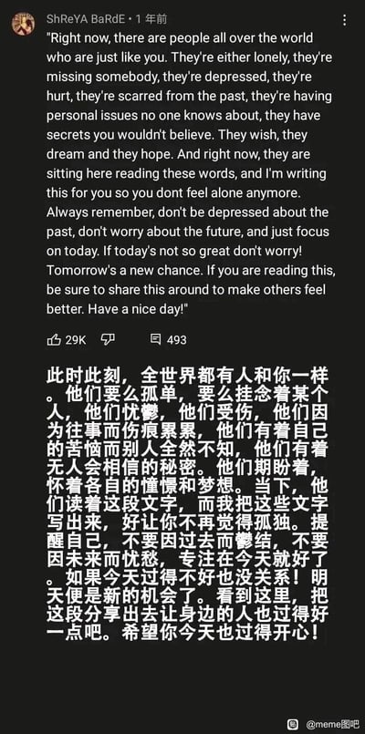 这是一张海外社交媒体的截图，用户ShReYA BaRdE在1年前发布了一段充满温度的鼓励文字，内容共情了人们可能经历的孤独、思念、忧愁、伤痛等情绪，指出全世界有许多人和你有着相似的处境，以此缓解读者的孤独感；同时鼓励人们放下过去的纠结、未来的焦虑，专注当下，即便今天不顺也无需沮丧，明天会是新的开始，还呼吁读者将这份温暖分享出去，让更多人获得慰藉。截图中同步配有这段文字的中文翻译，方便中文读者理解，该帖在海外收获了29K点赞与493条评论，右下角的水印显示该内容被分享至国内的@meme图吧，整体内容主打情感慰藉与暖心治愈，给身处情绪低谷的人带来支撑。