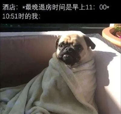 这是一张图文混排的搞笑梗图，上方文字分为两部分，第一部分模拟酒店的提示内容：“最晚退房时间是早上11：00”，第二部分标注“10:51时的我”；下方配图是一只裹着浅色毯子的巴哥犬，它缩在沙发角落，眼神慌张又带着不情愿的神态，生动地拟人化表现出临近酒店退房时间，当事人还没做好退房准备、不想起床收拾的窘迫与慌乱心情，用动物的真实神态来映射人的日常经历，容易引发有过类似酒店住宿经历的人的共鸣，充满生活趣味。