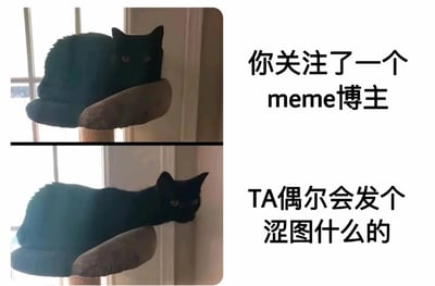 图片为上下对比的双 panel 结构，左侧均为一只黑猫趴在窗边的猫爬架上。上半部分猫咪姿态放松，眼神平静；下半部分猫咪伸长脖子、侧头探头，表情透露出好奇。右侧对应文字分别为“你关注了一个meme博主”和“TA偶尔会发个涩图什么的”，通过猫咪从平静到好奇的神态变化，幽默调侃了关注meme博主后发现对方偶尔发布性感/擦边内容时的微妙心理。