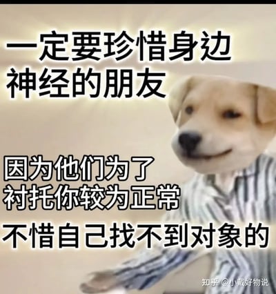 图片配以搞笑的文字：“一定要珍惜身边神经的朋友，因为他们为了衬托你较为正常，不惜自己找不到对象的”。整体氛围带有轻松自嘲，幽默表现了拥有奇葩朋友是种幸福，双关强调“朋友搞怪自己就显得正常”。适合社交网络中用于调侃或感谢朋友的情景。