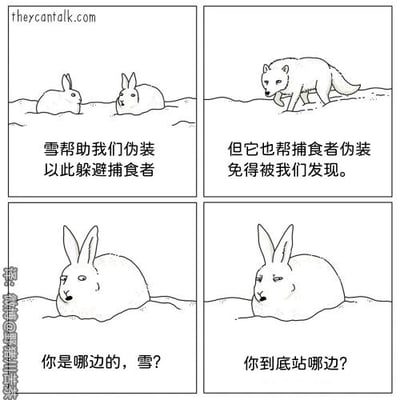 这是一组四格连环黑白线稿卡通漫画，出自theycantalk.com，经微博用户翻译成中文。漫画以雪地为场景，第一格中两只只露出头部的兔子讨论雪的作用，认为雪能帮助它们伪装躲避捕食者；第二格画面切换到一只狼在雪地上行走，兔子的画外音指出雪同样能帮助捕食者伪装，让它们无法提前察觉；第三格中一只兔子露出身体，表情带着疑惑与不满，向雪发出质问“你是哪边的，雪？”；第四格中这只兔子表情更加无奈，再次追问“你到底站哪边？”。漫画通过拟人化的手法，赋予兔子人类的思维与情绪，以无厘头的方式吐槽雪的中立属性，站在兔子的视角，将雪同时帮助自己和天敌的情况，转化为对“立场”的灵魂拷问，充满荒诞的幽默感。
