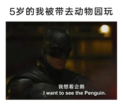 这是一张趣味玩梗的表情包，顶部配有文字“5岁的我被带去动物园玩”，下方是截取的2022年电影《新蝙蝠侠》中蝙蝠侠的严肃画面，画面中配文“我想看企鹅”及英文“I want to see the Penguin.”。图中运用了双关梗：表面是5岁孩童想去看动物园里的企鹅动物，而英文里首字母大写的“Penguin”实际指代蝙蝠侠的经典反派角色“企鹅人”，通过这种角色与场景的错位，制造出反差搞笑的效果，把小孩的简单诉求和蝙蝠侠的反派追捕剧情结合，形成幽默的错位感。
