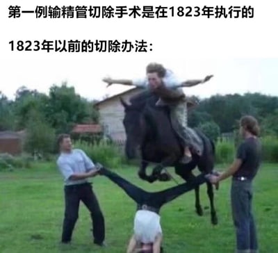 图片上方文字写着"第一例输精管切除手术是在1823年执行的"和"1823年以前的切除办法："，下方是一张搞笑图片。图中一名男子倒立在草地上，双腿被另外两名男子分别抓住向两侧拉开，第四名男子骑着一匹跃起的黑马正从倒立男子上方跳过。这张梗图通过夸张的视觉效果幽默地暗示1823年前的输精管切除手术方式非常原始和粗暴。