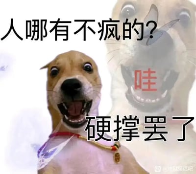 这是一张经过P图改编的网络表情包，主体是一只表情极度夸张的网红狗，它双眼圆睁、大张嘴巴，舌头外露，神态疯狂失控，同时图片为狗添加了重影效果，进一步强化了情绪崩溃的视觉感受。图片搭配了三组网络热梗文字：顶部的“人哪有不疯的？”直击当代人面临压力的普遍状态，中间的红色“哇”放大了情绪爆发的瞬间，底部的“硬撑罢了”则点出了人们在崩溃边缘强撑的现实，整体用戏谑、夸张的方式，精准表达了当代人在生活、职场压力下，表面维持镇定实则内心濒临崩溃的复杂情绪，极易引发网友的情绪共鸣。右下角带有小红书平台的“@地狱笑话吧”水印，标明了该表情包的传播来源。