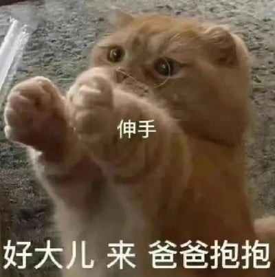 一只橘色猫咪抬起两只前爪，眼神期待地望向镜头，仿佛在伸手索要拥抱。图片中叠加了文字'伸手'在猫咪爪部附近，底部配有'好大儿 来 爸爸抱抱'的文字，营造出一种可爱又幽默的效果，常被用于表达亲昵或调侃的情感。