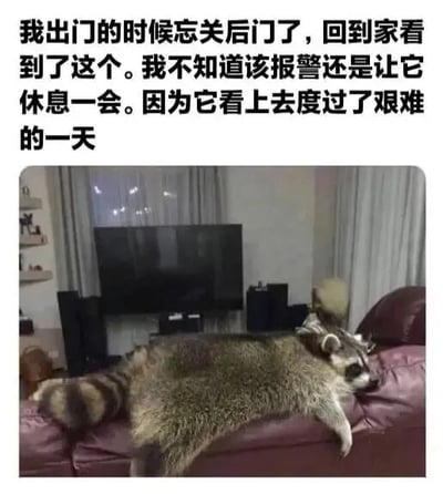 图片展示了一个家庭客厅场景，背景中有黑色电视、音响和浅色窗帘，前景紫色沙发上躺着一只浣熊，它四肢舒展、身体放松，表情看起来十分疲惫。图片上方配有文字描述：“我出门的时候忘关后门了，回到家看到了这个。我不知道该报警还是让它休息一会。因为它看上去度过了艰难的一天”，通过幽默的文字与浣熊慵懒的姿态形成反差萌，营造出搞笑又无奈的氛围。