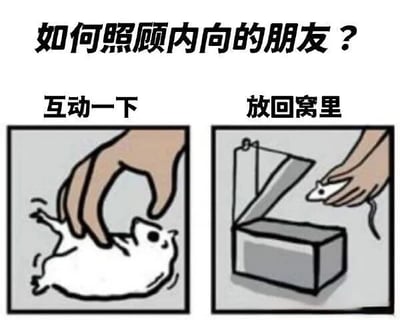 这是一张双格卡通梗图，标题为‘如何照顾内向的朋友？’。左图中一只手轻轻触碰仰卧的小白仓鼠，配文‘互动一下’；右图中同一只手将仓鼠放回打开的盒子‘窝’里，配文‘放回窝里’。通过拟人化的仓鼠行为，幽默比喻与内向朋友相处的正确方式——短暂互动后给予其独处的舒适空间，整体风格可爱温馨。