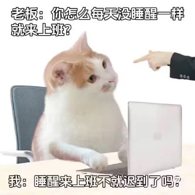 这是一张职场搞笑梗图，主体是一只看起来模糊恍惚、像没睡醒的橘白猫咪坐在办公椅上，前爪放在桌面的笔记本电脑键盘上，右侧有一只穿着西装的手正指着猫咪，图片上方配文是老板的质问“你怎么每天没睡醒一样就来上班？”，下方配文是打工人的回应“睡醒来上班不就迟到了吗？”。图片用拟人化的猫咪形象映射当代打工人的处境，笑点在于用逻辑自洽的反向回答回怼老板的质疑，精准戳中了打工人需要早起赶通勤、睡眠不足的普遍痛点，充满自嘲的幽默感。