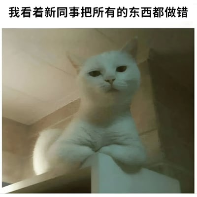 图片上方有一行黑色文字“我看着新同事把所有的东西都做错”，下方是一只白色猫咪坐在角落的照片。猫咪表情平静，眼神直视前方，似乎带着一丝无奈或审视的感觉，与文字内容形成呼应，生动展现了看到新同事频频出错时的内心状态。