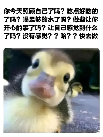 图片上方是一系列关于自我关怀的连续提问：“你今天照顾自己了吗？吃点好吃的了吗？喝足够的水了吗？做些让你开心的事了吗？让自己感觉到什么了吗？没有感觉？？哈？？快去做”。下方是一张特写照片，一只黄色的小鸭子正直视镜头，眼神好奇，背景略微模糊。整体通过可爱的小鸭子形象搭配温暖的文字，提醒人们关注自身需求，进行自我照顾，营造出治愈、亲切的氛围。