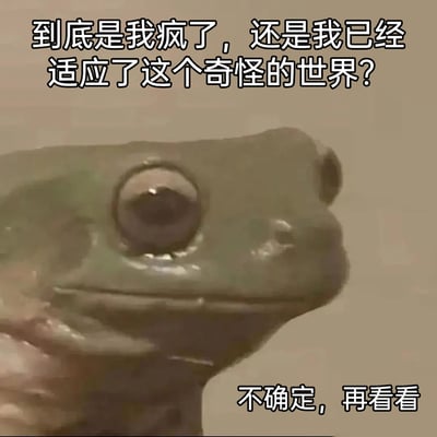 这是一张文字加注类的网络梗图，画面主体是一只表情呆滞、眼神空洞的青蛙，它的神态传递出麻木与迷茫感。图上方配文以灵魂拷问的方式提出“到底是我疯了，还是我已经适应了这个奇怪的世界？”，精准表达了人们面对生活中荒诞、怪异场景时的困惑；下方配文“不确定，再看看”则用戏谑的口吻，传递出迷茫中观望、不愿下定论的心态，戳中了当代人在离谱日常中的复杂情绪，极易引发共鸣。