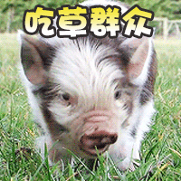 可爱小猪版“吃草群众”动态表情包