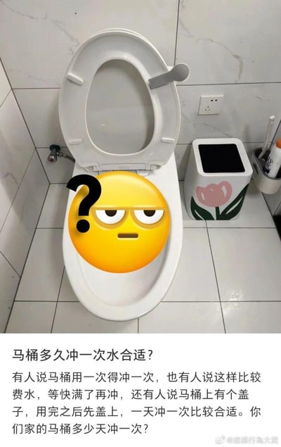 图片展示了一个卫生间场景，白色马桶盖打开，马桶圈上被编辑添加了一个黄色的困惑表情包（带有黑色问号和无奈眼神）。背景是白色瓷砖墙面和地面，右侧有一个带粉色花朵图案的垃圾桶，旁边放着马桶刷等清洁用品。图片下方配有文字：“马桶多久冲一次水合适？有人说马桶用一次得冲一次，也有人说这样比较费水，等快满了再冲，还有人说马桶上有个盖子，用完之后先盖上，一天冲一次比较合适。你们家的马桶多少天冲一次？” 整体通过表情包与日常疑问结合，营造出幽默又引人思考的氛围。