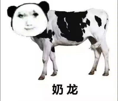 这是一张充满趣味的谐音梗表情包，创作者将网络上流行的熊猫头表情包的真人脸部，与真实奶牛的身体拼接在一起，形成一个头部是熊猫头人脸、身体是奶牛的怪异形象。图片下方配有文字“奶龙”，玩了谐音梗——利用“奶牛”的“奶”和“龙”的谐音关联，把产奶的奶牛戏称为“奶龙”，用这种违和又荒诞的拼贴方式制造出滑稽搞笑的效果，打破了正常的视觉认知，给人带来反差感十足的笑点。