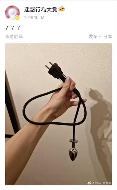 这是一张利用光影和物品摆放制造视觉错觉的趣味图片：一只手握着一根黑色电线，电线一端是普通的电源插头，另一端却连接着金属肛塞，而投射在墙上的影子，看起来像是插头直接“插入”了手臂，形成了荒诞又迷惑的视觉效果，让人第一眼产生误解，制造出搞笑又离谱的观感，属于典型的迷惑行为类创意内容。