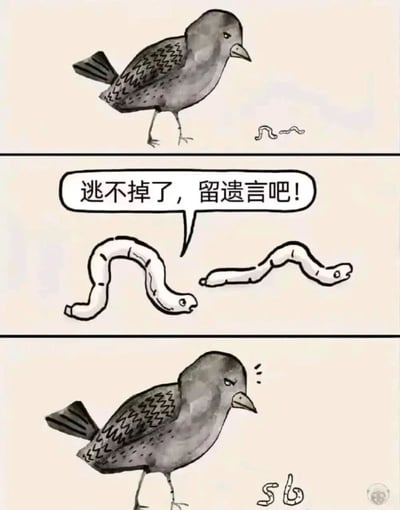 这是一幅三格连环卡通图，展现了小鸟与虫子间的幽默互动。第一格：一只灰黑色的小鸟站在浅色背景上，身旁有一条小虫子。第二格：两只虫子出现在画面中，其中一只虫子的对话框里写着“逃不掉了，留遗言吧！”，表情带有挑衅意味。第三格：小鸟低头看向地面，地面上有虫子画出的“Sb”字样，小鸟头部冒出疑惑的汗珠，形成反差萌的搞笑效果。