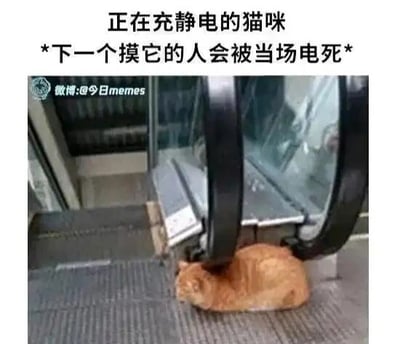 这是一张文字加注的静态单图，画面里一只橘猫趴在自动扶梯的台阶上，由于视觉错位，橘猫的头部和扶梯的扶手带恰好重合，看起来像是橘猫的头被卷入扶手带中。图上配文“正在充静电的猫咪 *下一个摸它的人会被当场电死*”，利用这个视觉错位玩梗，将扶手带比作“充电装置”，营造出猫咪在“充静电”的搞笑效果，实际上猫咪只是安然趴在扶梯上，并没有危险，是视觉巧合带来的趣味场景。