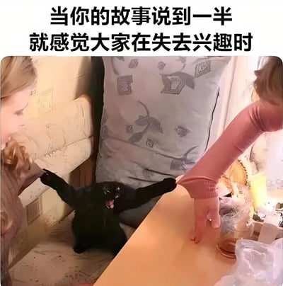 图片上方有文字“当你的故事说到一半就感觉大家在失去兴趣时”，下方是一只黑猫在沙发和枕头之间的狭小空间里，张大嘴巴，前爪伸出，似乎在焦急地试图抓住前方一只伸出的人手。这张图片用黑猫焦急又够不着的样子，幽默地比喻了人们在讲故事到一半发现听众失去兴趣时的尴尬和急切心情。