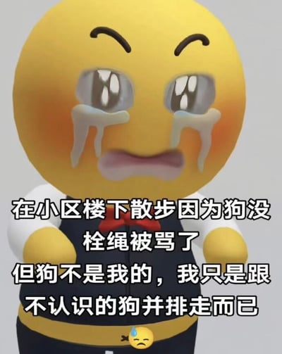 图片主体是一个3D风格的黄色圆形表情角色，它眉头紧锁，双眼睁大，眼角下垂，两行泪珠从灰色眼睛中滚落，脸颊泛着红晕，嘴巴微张呈委屈状。角色穿着白色衬衫、黑色背心，系着红色领结，双手自然下垂。图片下方配有文字：“在小区楼下散步因为狗没栓绳被骂了 但狗不是我的，我只是跟不认识的狗并排走而已”，文字下方还有一个小的流泪委屈表情符号。整体画面通过夸张的表情和幽默的文字，展现了日常生活中因巧合引发的误会场景，带有无奈又搞笑的氛围。