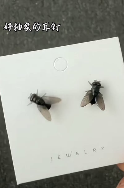 这张梗图展示了一对仿真苍蝇造型的耳钉，乍一看让人以为是真的苍蝇停在珠宝展示卡上。图片上的文字“好抽象的耳钉”用幽默语气调侃其设计，说它既离谱又具有创意，属于典型的抽象类饰品梗。没有明显的谐音、双关，但通过视觉误导和创意脑洞营造出反差感，引发观众会心一笑。
