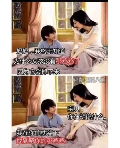 这是一张由上下两帧构成的连环搞笑梗图，画面展示了一对母子坐在床上的互动场景。上半帧中，儿子一脸兴奋地向妈妈分享自己的“发现”：认为女孩没有小鸡鸡是因为它会掉下来；妈妈则露出疑惑的神情，反问孩子在胡说什么。下半帧里，儿子紧接着说出让人大跌眼镜的话语，称自己在妈妈的枕头下找到了“妈妈的小鸡鸡”。这一梗图通过孩子童言无忌的错位误解制造出荒诞搞笑的效果，实际是孩子将妈妈的某件物品误认成了“小鸡鸡”，没有双关或谐音梗，纯粹依靠误会带来笑点。