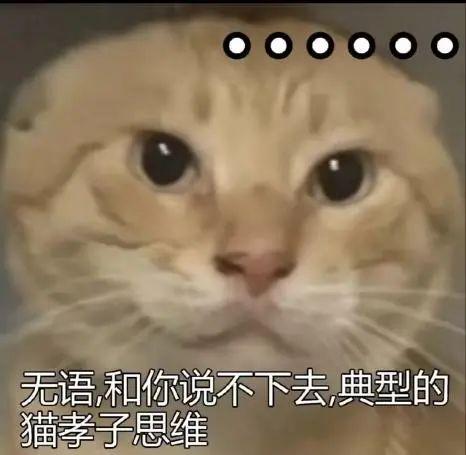 耄耋（猫爹）