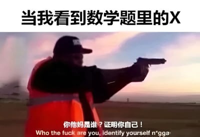 图片上方有文字'当我看到数学题里的X'，下方是一名穿着橙色安全背心和帽子的男子，正持枪指向远方，背景是黄昏天空。图片底部有文字'你他妈是谁？证明你自己！'及对应的英文翻译。这张梗图通过男子持枪质问的夸张动作，幽默地表达了学生面对数学题中未知变量X时的困惑与无奈情绪。