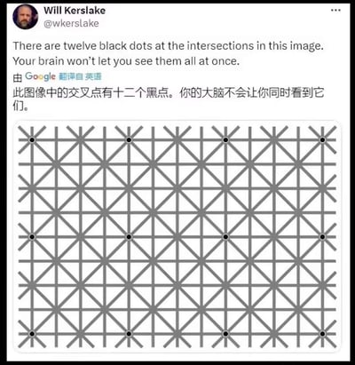 这是X平台（原Twitter）用户Will Kerslake分享的一张视觉错觉图，图中呈现了由灰色线条组成的特殊网格，在网格的12个交叉点上分布着黑点。配文说明人类大脑受视觉感知机制影响，无法同时看清这12个黑点——当视线聚焦于某个黑点时，周边的黑点会因视觉抑制效应变得模糊难辨。图中同时附带了英文原文与谷歌翻译的中文译文，对该视觉现象进行解释。