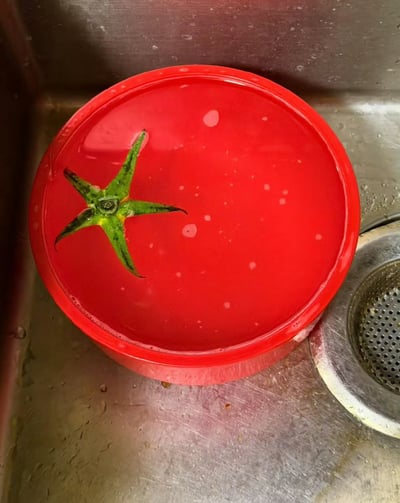 这是一张存在视觉错位效果的实拍照片，拍摄场景为家用不锈钢水槽。红色圆形碗内盛有淡红色的水，水面上仅漂浮着一颗番茄的绿色五角形蒂部，由于碗的颜色和番茄果肉的红色高度相近，第一眼看上去会让人误以为碗里泡着一整颗完整的番茄，只有仔细观察才能发现实际上只有番茄蒂漂浮在水面上，碗的右侧可以看到水槽的金属过滤漏水孔。