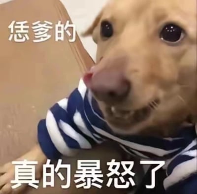 图片中是一只金毛犬的近距离特写，它有着大大的黑色眼睛，鼻子微微湿润，嘴巴微张露出牙齿，表情看起来既严肃又带着一丝委屈。狗狗穿着蓝白相间的条纹衣服，背景是模糊的棕色物体。图片上方有文字“恁爹的”，下方有文字“真的暴怒了”，通过拟人化的文字搭配狗狗的表情，营造出一种既生气又搞笑的幽默效果。