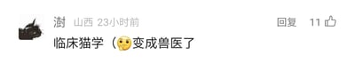 这是一张社交媒体平台的用户评论截图，发布者昵称是“澍”，IP归属地显示为山西，发布时间为23小时前。发布者的头像是一只表情严肃的黑猫，评论内容为“临床猫学（🤔变成兽医了”，搭配一个思考的表情符号，这条评论获得了11个点赞，界面还设有“回复”按钮。其中“临床猫学”是谐音梗，将“临床医学”改编为“临床猫学”，趣味化地自嘲自己日常需要照顾猫咪，仿佛成为了专门给猫咪服务的兽医，充满了轻松幽默的氛围。