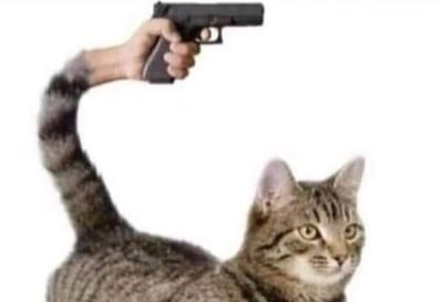 图片中是一只虎斑猫，其尾巴被创意性地替换成一只人类手臂，手臂正握着一把黑色手枪并向前伸出。猫咪本身表情平静，眼神直视前方，与持枪手臂形成强烈的荒诞幽默反差。画面背景为纯白色，无其他元素干扰，整体风格搞笑且富有创意。
