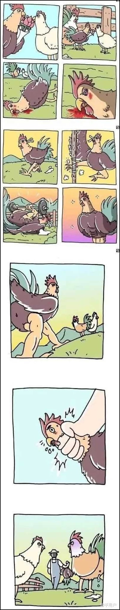 这是一组漫画梗图，讲述了一只公鸡对母鸡充满欲望并展开了疯狂“示爱”追逐，甚至到了口吐白沫的夸张地步，最后被农民直接拎走，母鸡们则露出幸灾乐祸的表情。一种典型的“色即是空”的教育式幽默，带有明显拟人化和现实暗示。图中有性暗示和对‘色’的双关梗。