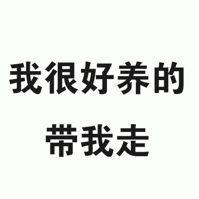 我很好养的带我走