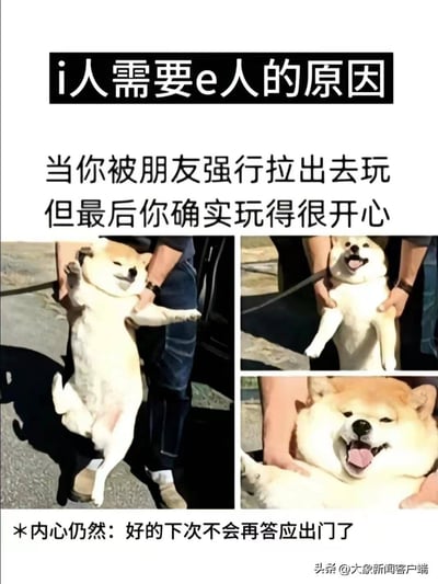 这张多图拼接的图文混排图片，通过四格柴犬照片幽默演绎了i人（内向者）与e人（外向者）的社交互动。上方黑色背景文字“i人需要e人的原因”点明主题，中间配文“当你被朋友强行拉出去玩但最后你确实玩得很开心”描述情景，下方四格图中，柴犬从最初被人强行抱起时的半推半就（第一格），到逐渐展露笑容（第二格），再到完全放松享受（第三、四格），生动展现了i人被e人带动后的情绪转变。底部补充文字“*内心仍然：好的下次不会再答应出门了”则精准捕捉了i人“身体很诚实，内心很抗拒”的矛盾心理，充满反差萌。