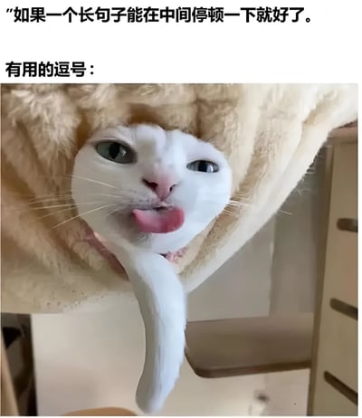 图片上方有文字'如果一个长句子能在中间停顿一下就好了。'和'有用的逗号：'，下方是一只白猫从毛毯中探出头，伸出的舌头呈现出完美的逗号形状，形成有趣的视觉双关，用猫舌头的形状来比喻逗号的作用。