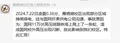 这是一份由雁栖湖校区电力部张京科出具的停电情况工作汇报，文本记录了2024年7月22日凌晨0点36分，雁栖湖校区部分区域发生跳闸停电的事件，经与国网怀柔供电公司核实，确认停电根源是一条蛇爬上国网110万伏高压线路铁塔，引发校外高压闪断，进而影响到校区供电，整体内容为正式的工作通报，表述客观清晰。