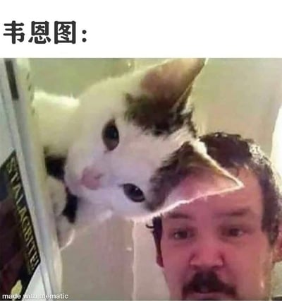 图片上方配有文字“韦恩图：”，下方是一张通过图片编辑工具合成的趣味照片。画面中一只白色带有黑色斑块的猫，其头部与一名男性的头部以重叠方式拼接，形成类似数学中韦恩图（集合重叠）的视觉效果，巧妙利用“重叠”这一核心概念制造幽默笑点。猫的眼神显得好奇无辜，而男性则露出略带惊讶的表情，两者的表情对比增强了滑稽感。图片底部左侧可见“made with mematic”的编辑工具水印。