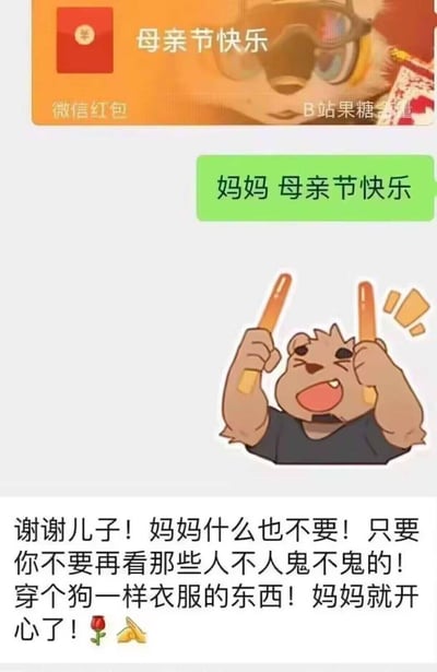 这是一张母亲节主题的微信聊天搞笑梗图。图片上方显示带有“母亲节快乐”字样的微信红包界面，中间是绿色消息气泡“妈妈 母亲节快乐”，下方为卡通角色（手持两根长条物品，表情兴奋）及妈妈的回复：“谢谢儿子！妈妈什么也不要！只要你不要再看那些人不人鬼不鬼的！穿个狗一样衣服的东西！妈妈就开心了！”，并配有玫瑰花和香蕉表情符号。整体通过母子对话幽默展现长辈对晚辈兴趣爱好（如动漫、cosplay等）的不解，充满生活气息与代沟笑点。