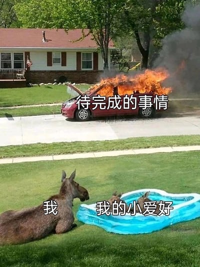 这是一张经过P图改编的搞笑梗图，画面背景是居民区街道，一辆红色汽车在路边猛烈燃烧，车身冒出大量黑烟，上方配文“待完成的事情”，象征着堆积如山、让人焦虑的待办任务；前景的草地上，一只大驼鹿趴在地上，标注为“我”，旁边的小型充气泳池里有两只小驼鹿，标注为“我的小爱好”。整个画面用夸张的对比，表现出“我”无视紧急且棘手的待办事项，沉浸在自己的小爱好里摆烂的状态，精准调侃了当代人面对压力时逃避任务、享受当下的心态。