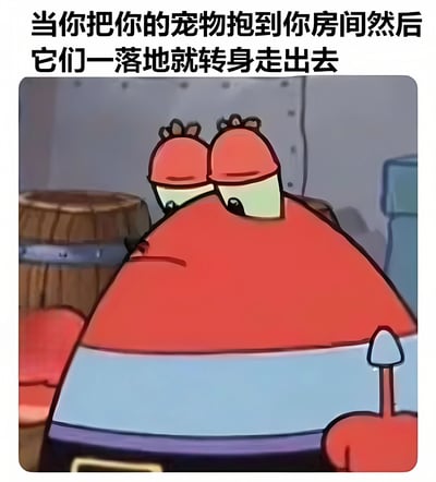 图片上方配有文字“当你把你的宠物抱到你房间然后它们一落地就转身走出去”，下方是卡通角色蟹老板的特写。蟹老板双眼半闭，头部低垂，身体微微前倾，呈现出明显的沮丧和失落情绪，背景中隐约可见木桶等场景元素，整体通过幽默的方式表现了宠物主人在宠物被抱进房间后却立刻离开时的无奈心情。
