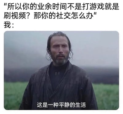 图片上方文字为“所以你的业余时间不是打游戏就是刷视频？那你的社交怎么办”，下方接“我：”并配有一张男子站立于草地雾景中的剧照截图，男子身着深色长袍，表情平静略带凝重，图片底部文字为“这是一种平静的生活”。整体通过问答形式幽默展现了对“沉迷游戏视频缺乏社交”质疑的回应，暗示满足于这种独处平静的生活状态。