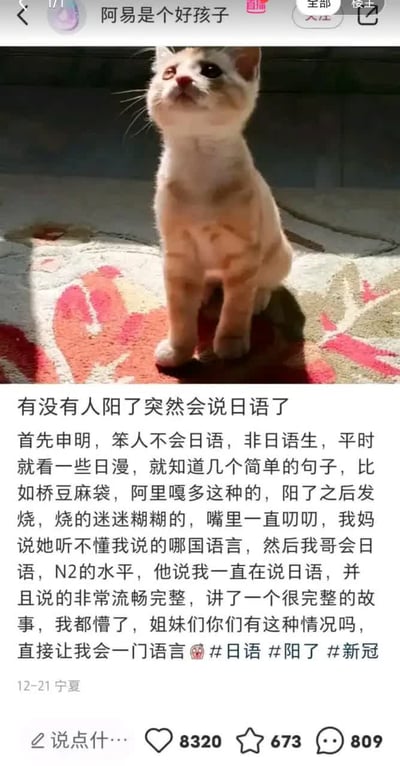 这是一张竖版社交媒体帖子截图，顶部显示发帖用户昵称是“阿易是个好孩子”，上方配图是一只橘白幼猫，小猫单侧眼睛异常发红，蹲坐在带红绿色花纹的地毯上抬头望向上方，图片下方是发帖人分享的亲身经历：发帖人本不会日语，只知道几个简单日漫常用词，感染新冠发烧后迷迷糊糊不停念叨，自己拥有N2水平的哥哥说发帖人一直在流畅地说完整的日语故事，发帖人对此十分诧异，询问其他网友有没有类似经历，文末附带了#日语 #阳了 #新冠相关话题标签，截图底部显示帖子发布于12月21日宁夏，该帖子获赞8320、收藏673、评论809。