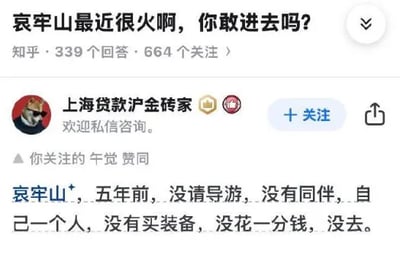 这是一张来自知乎平台的社交媒体静态截图，属于图文混排的形式。截图顶部展示了一个提问：“哀牢山最近很火啊，你敢进去吗？”，并标注该问题拥有339个回答、664个关注。下方是用户“上海贷款沪金砖家”的回答区域，该用户的头像是一个表情严肃的卡通狗头，个人简介为“欢迎私信咨询”。其回答内容为“哀牢山，五年前，没请导游，没有同伴，自己一个人，没有买装备，没花一分钱，没去。”，通过前面一系列以“没”开头的表述，营造出即将讲述独自进入哀牢山经历的氛围，最后用“没去”完成转折，形成了一个有趣的文字梗，制造出幽默的效果，让读者产生预期反差。