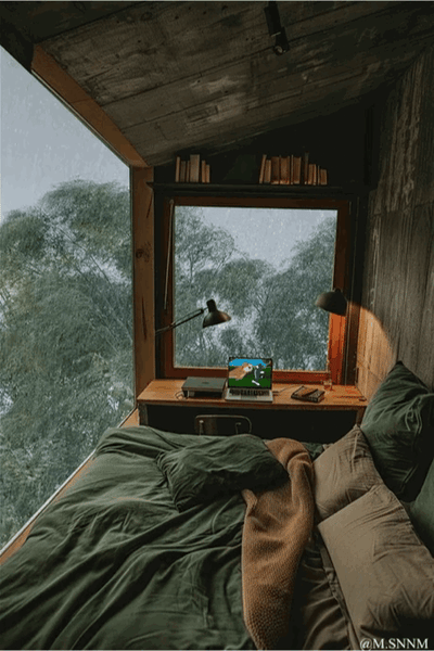 这是一段动态GIF，呈现了被茂密森林环绕的小屋内部场景：窗外正淅淅沥沥下着雨，冷调的雨景与屋内暖黄的台灯灯光形成温馨对比。床铺铺着深绿色床品，书桌靠窗摆放，桌上的电脑屏幕播放着足球比赛画面，整体空间静谧舒适，打造出令人向往的居家放松或办公的治愈氛围，图中没有双关、谐音梗或暗示内容。