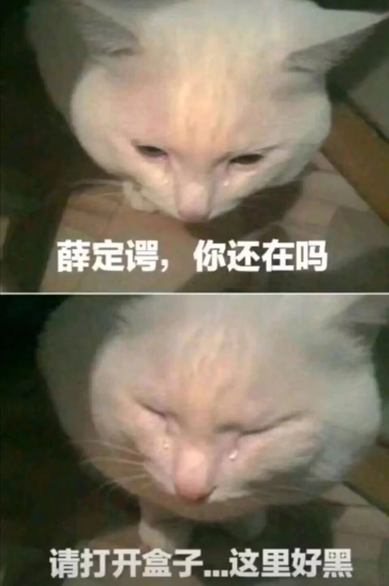 薛定谔的猫思想实验